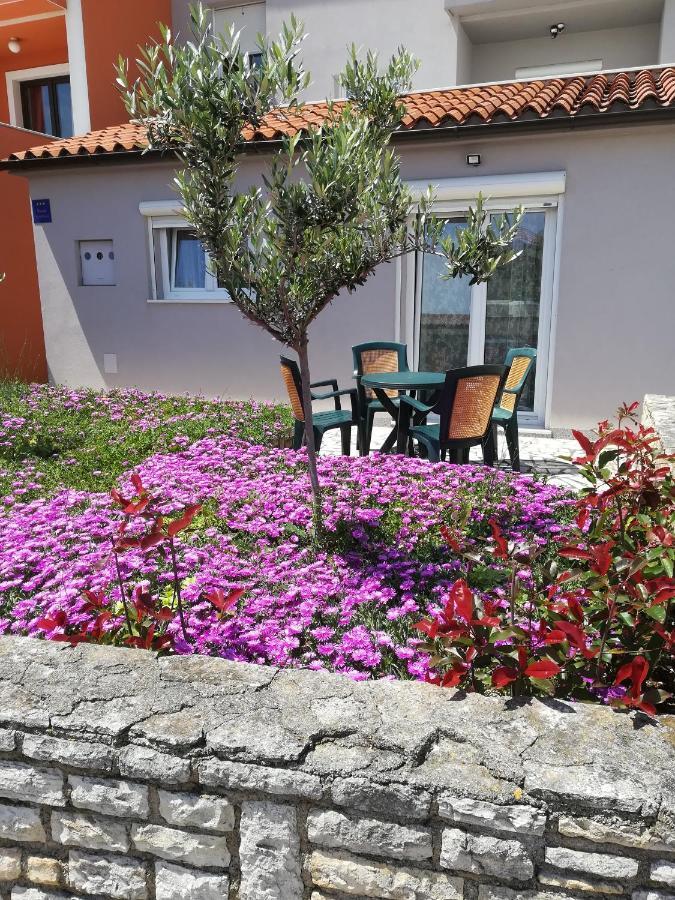 Apartment Lavanda Premantura Exterior photo
